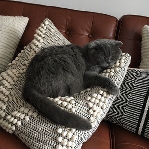 Meet your Posher, Jen